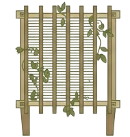 Open Pergola
