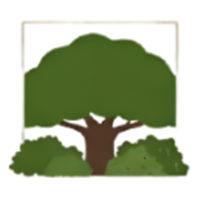 Volwassen bomen